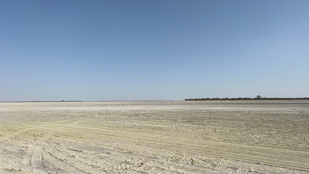 a view over the vast white Makgadikgadi Pan